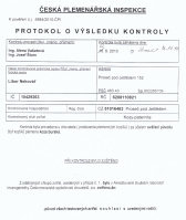 protokol-t